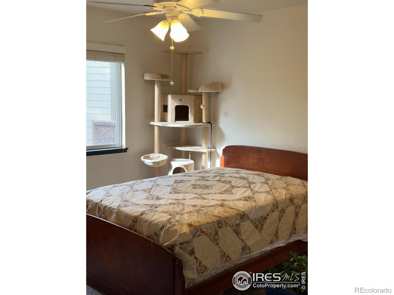 MLS Image #21 for 205  timber ridge court,severance, Colorado