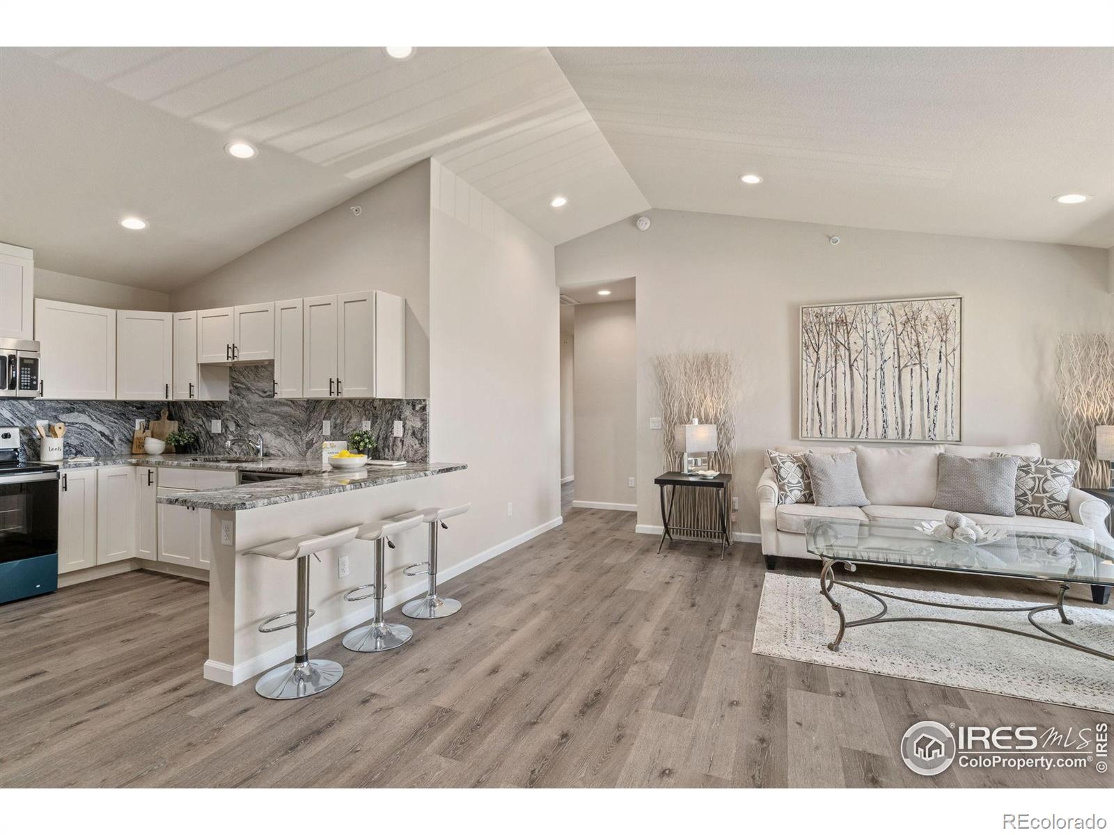 MLS Image #5 for 875 e 78th avenue,denver, Colorado