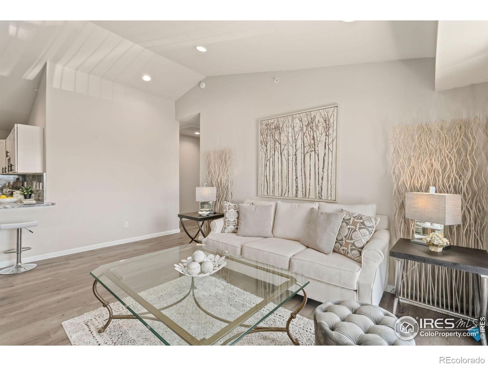 MLS Image #9 for 875 e 78th avenue,denver, Colorado