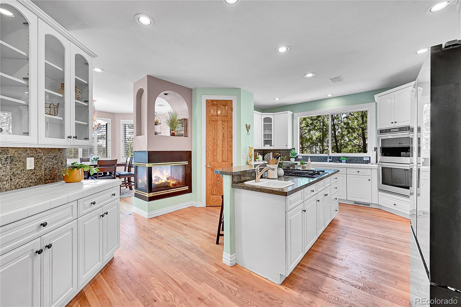 MLS Image #10 for 6681  flintwood road,parker, Colorado