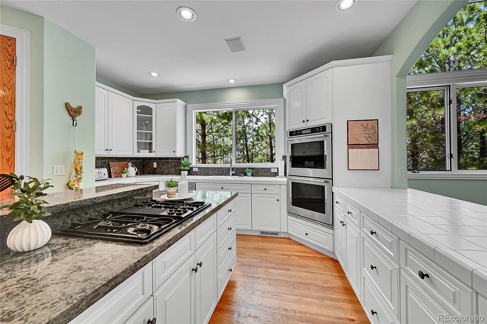 MLS Image #11 for 6681  flintwood road,parker, Colorado