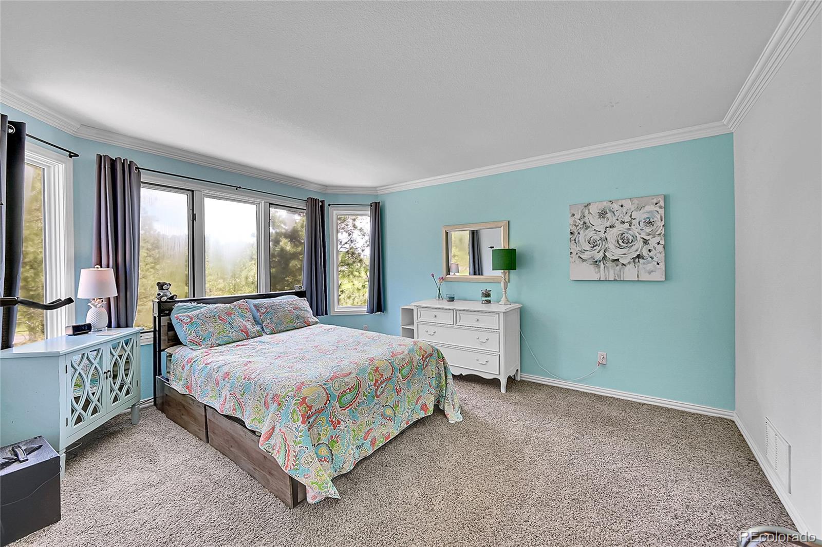 MLS Image #29 for 6681  flintwood road,parker, Colorado