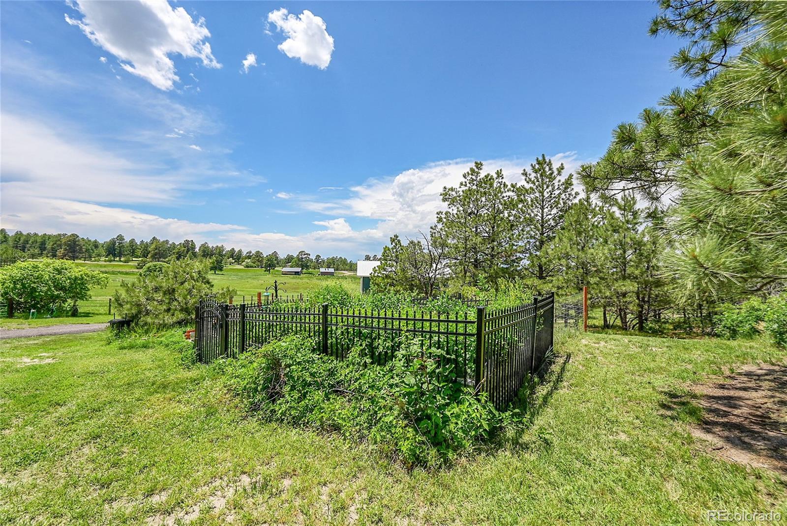 MLS Image #41 for 6681  flintwood road,parker, Colorado