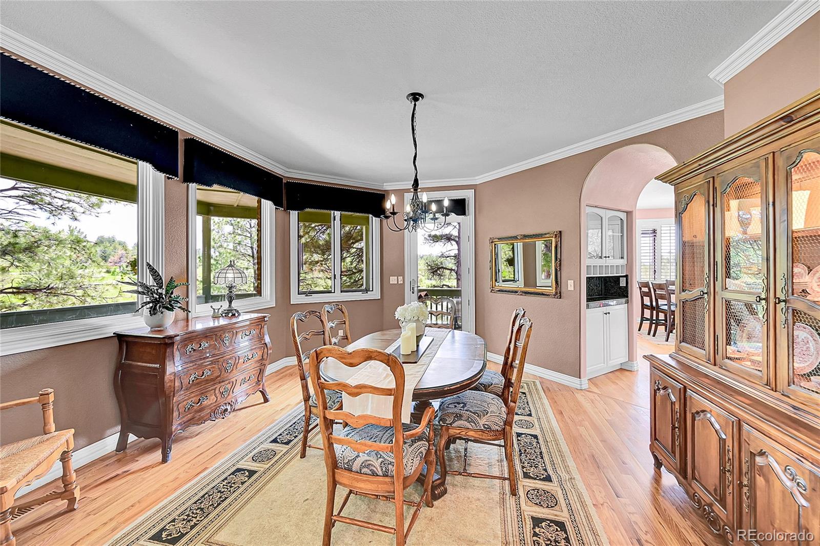 MLS Image #8 for 6681  flintwood road,parker, Colorado
