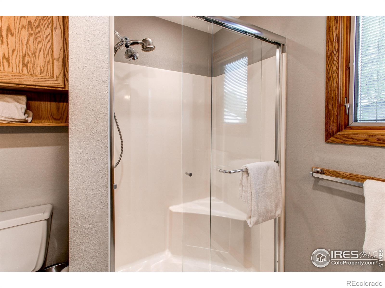 MLS Image #18 for 332 n madison avenue,loveland, Colorado