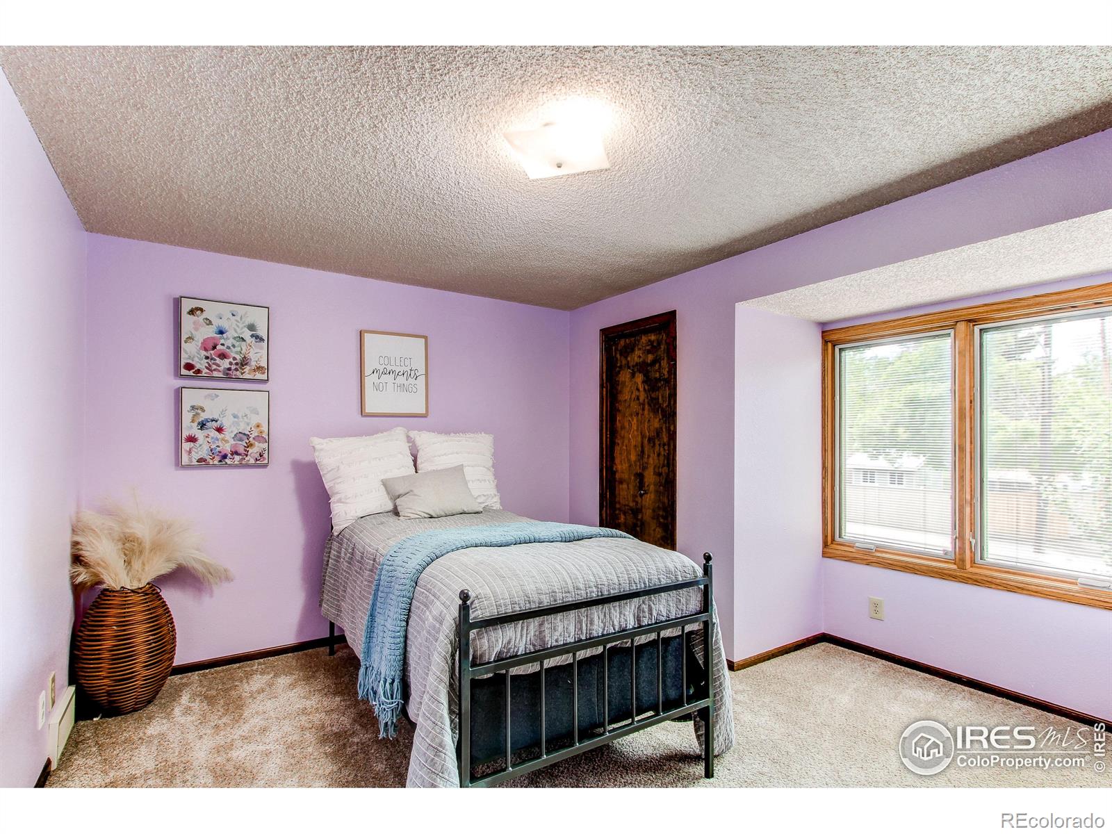 MLS Image #19 for 332 n madison avenue,loveland, Colorado