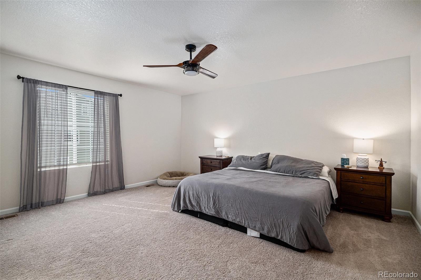 MLS Image #8 for 5201  lumos lane,castle rock, Colorado