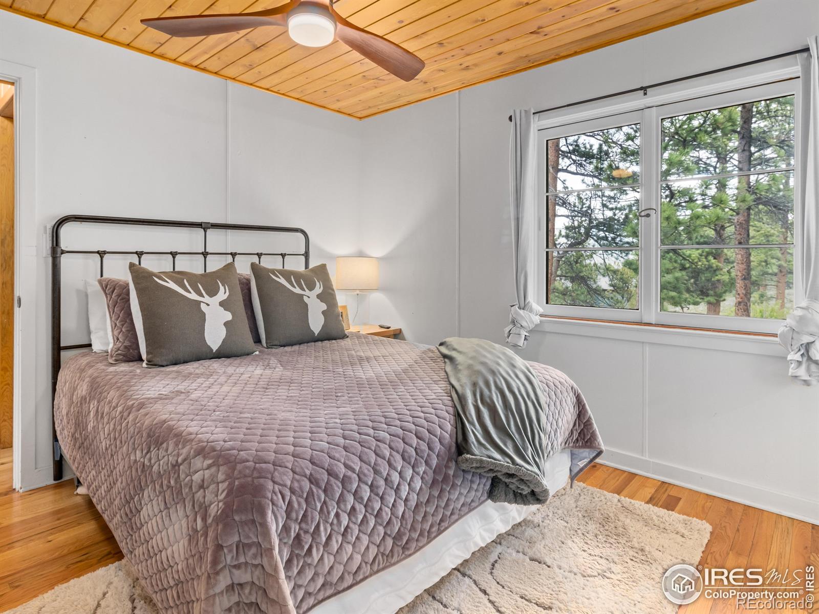 MLS Image #11 for 1650  powelly lane,estes park, Colorado