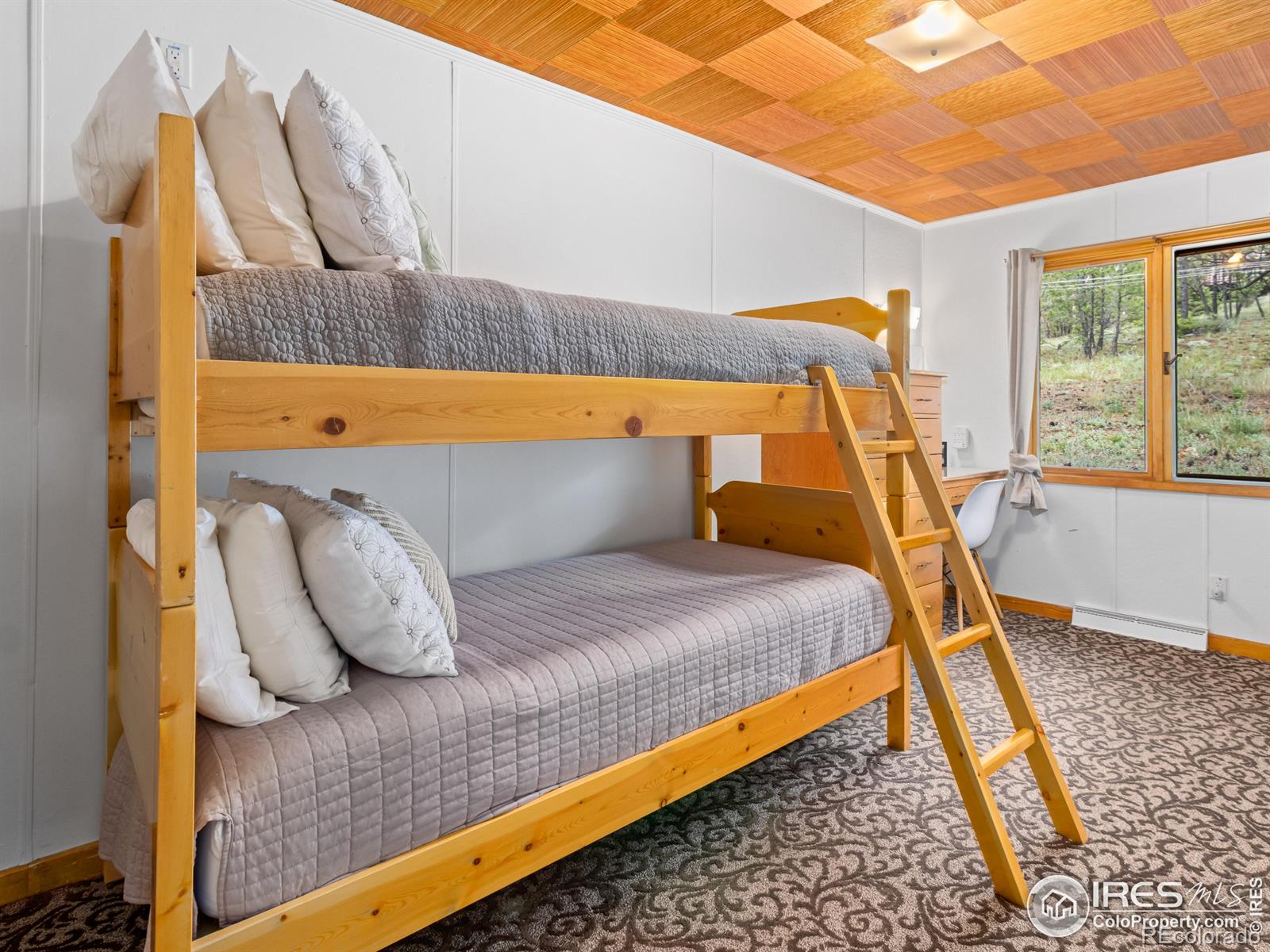 MLS Image #12 for 1650  powelly lane,estes park, Colorado