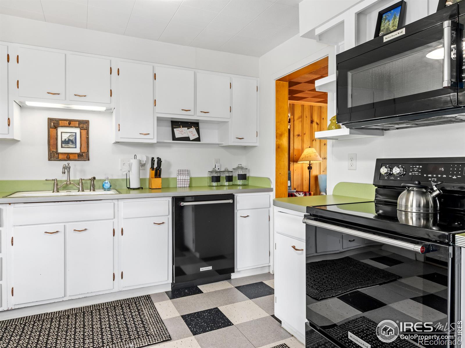 MLS Image #18 for 1650  powelly lane,estes park, Colorado