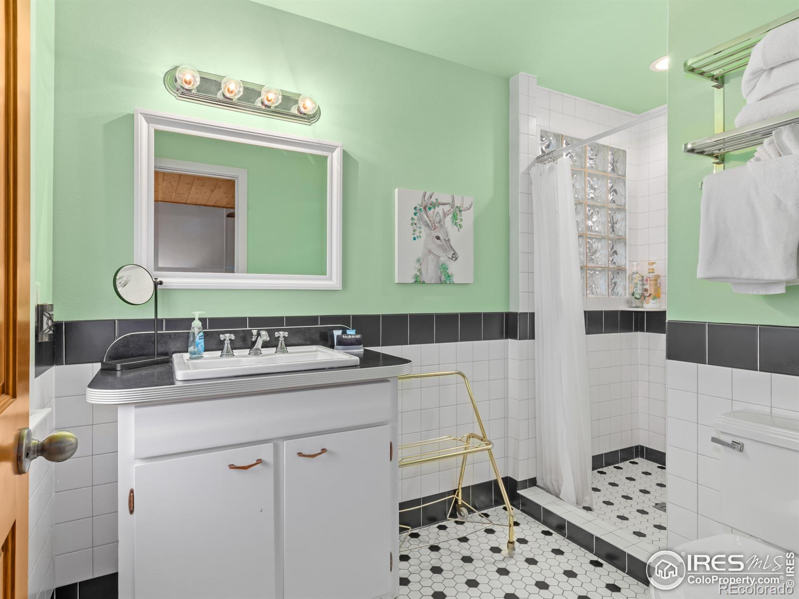MLS Image #21 for 1650  powelly lane,estes park, Colorado