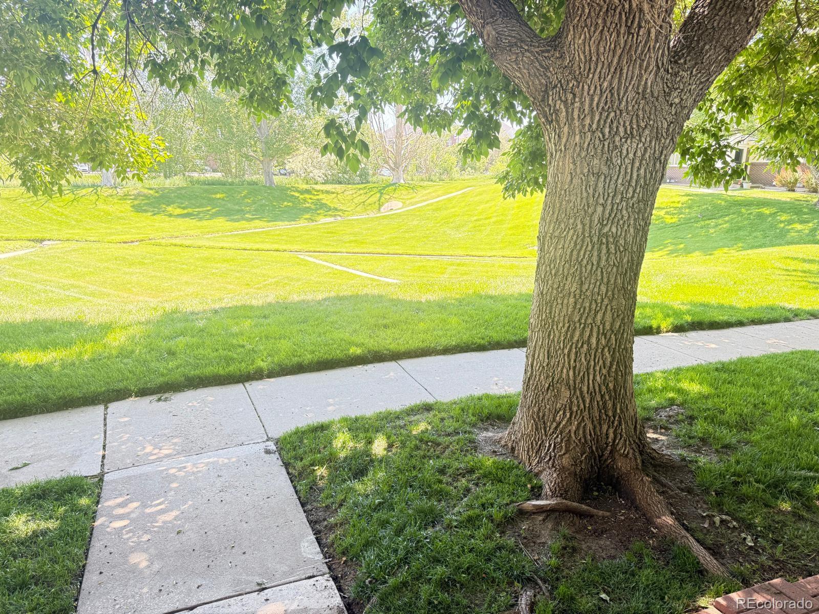 MLS Image #3 for 9255 e lehigh ,denver, Colorado