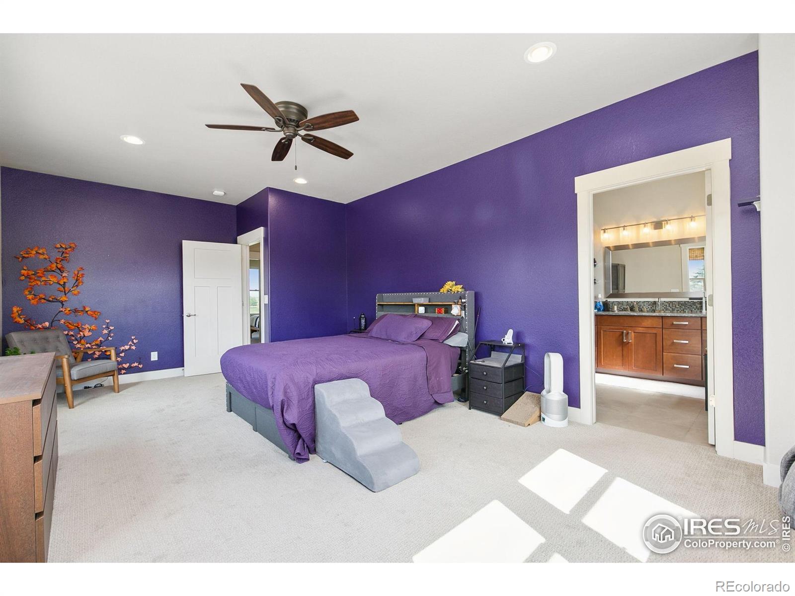 MLS Image #18 for 1217  baldridge drive,severance, Colorado