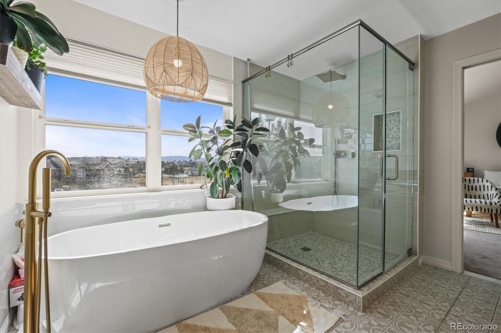MLS Image #17 for 854  countrybriar lane,highlands ranch, Colorado