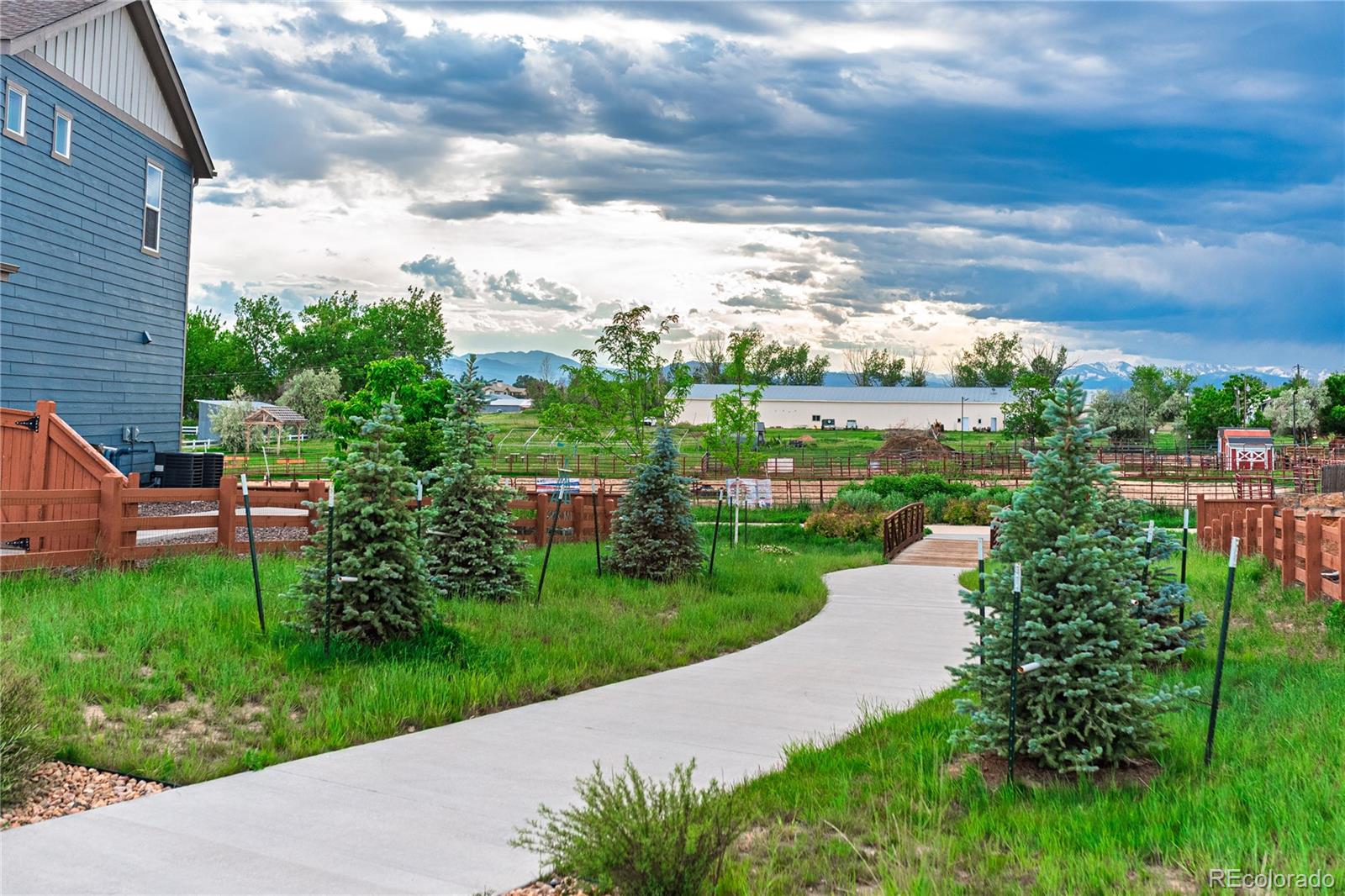 MLS Image #49 for 638 w 175th avenue,broomfield, Colorado