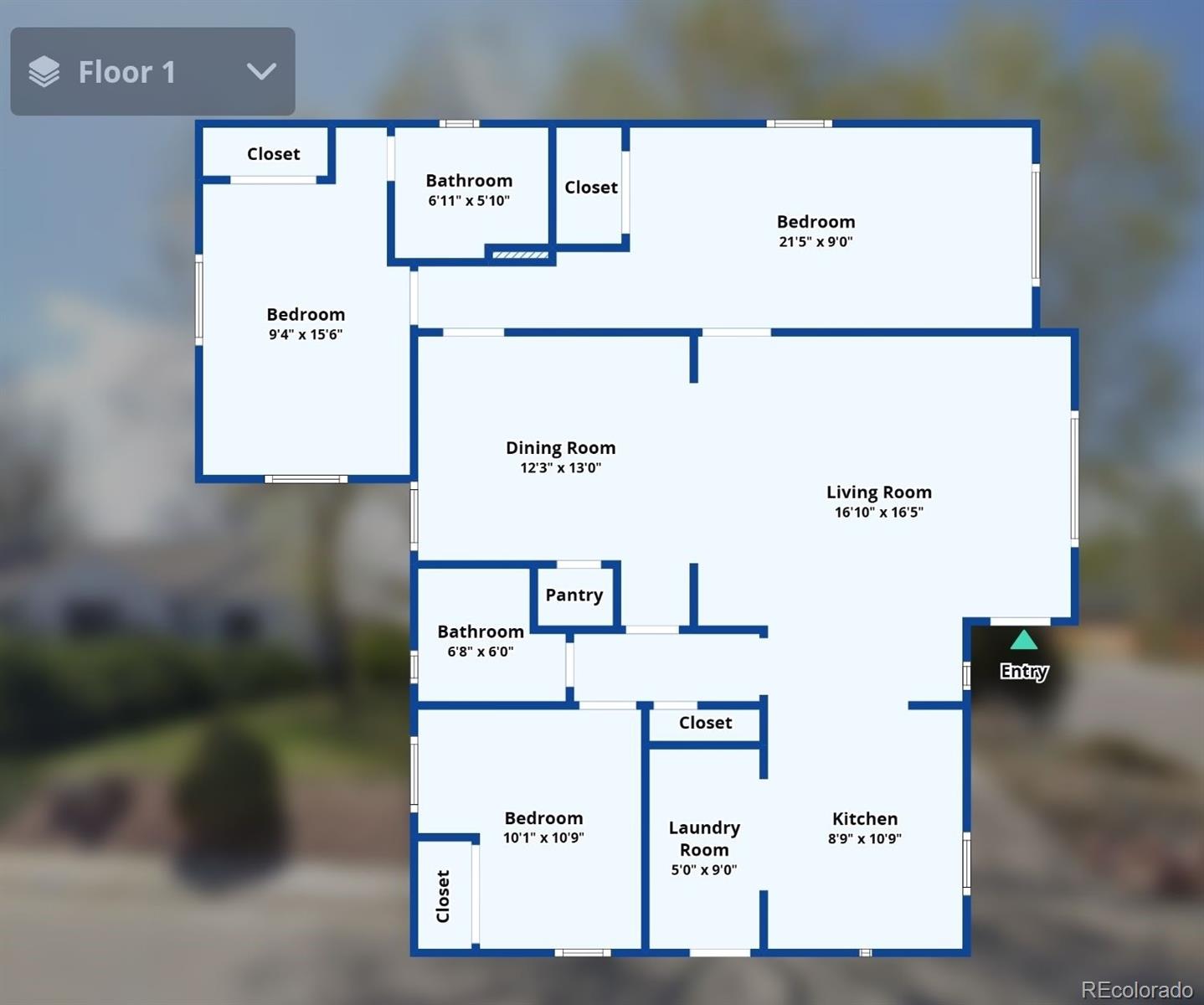 MLS Image #39 for 2461  niagara street,denver, Colorado