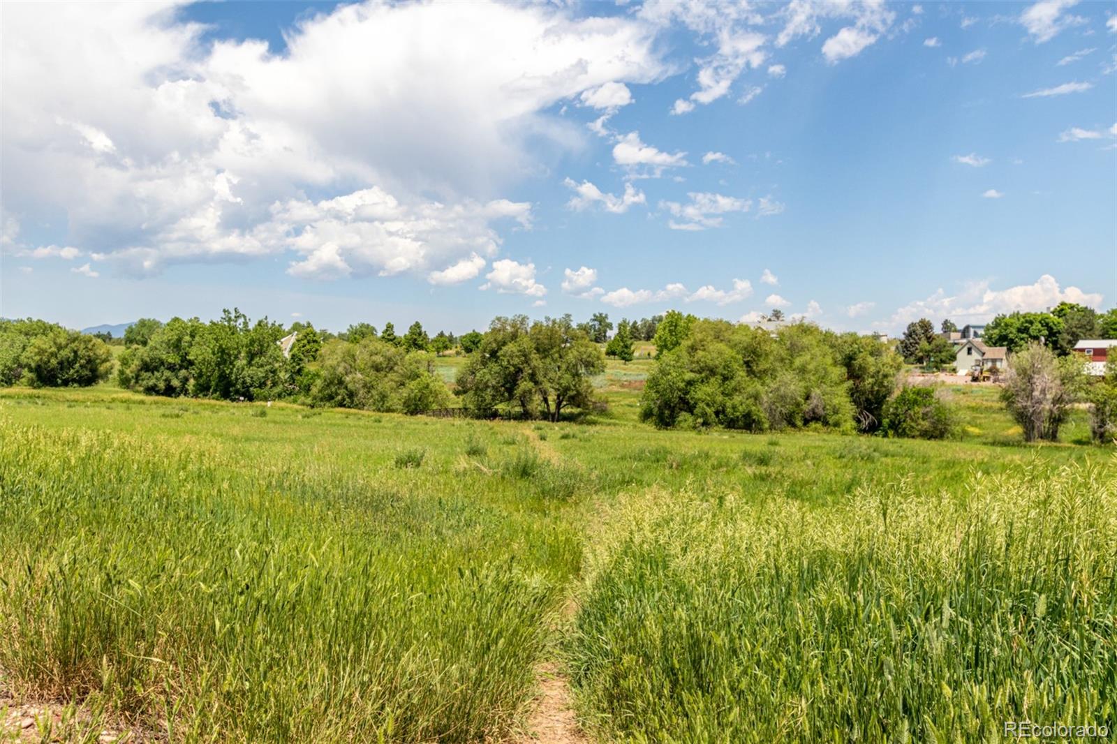 MLS Image #36 for 902 s yukon street,lakewood, Colorado