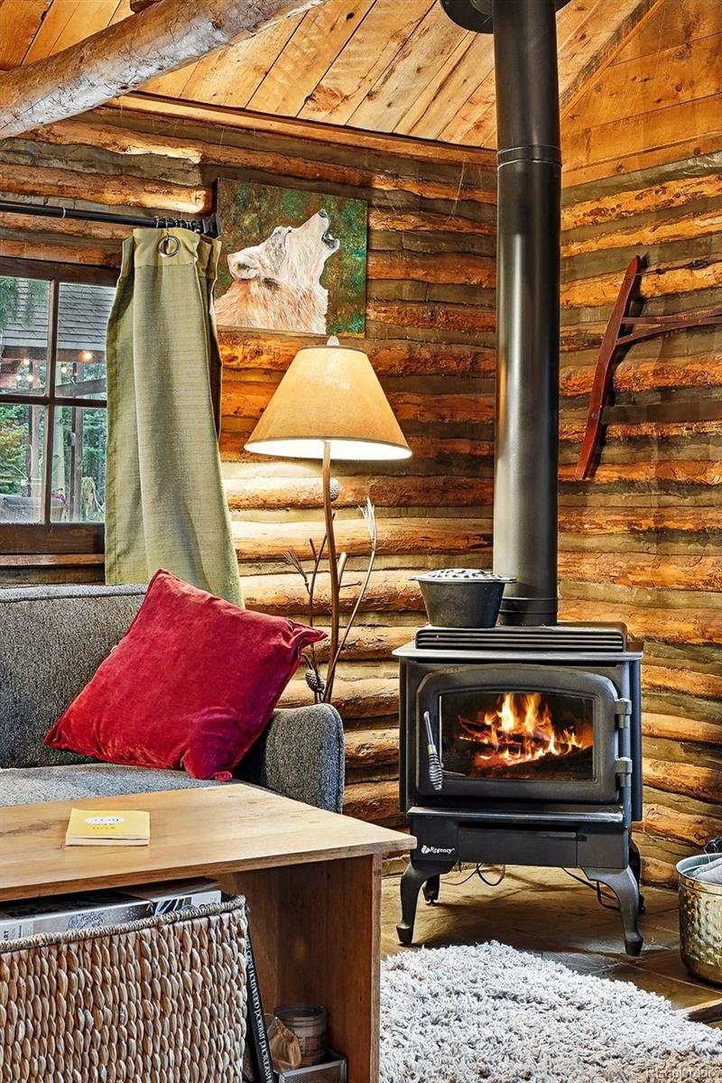 MLS Image #11 for 1634  caribou road,nederland, Colorado