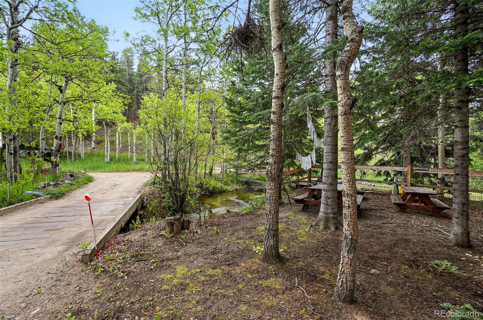 MLS Image #36 for 1634  caribou road,nederland, Colorado