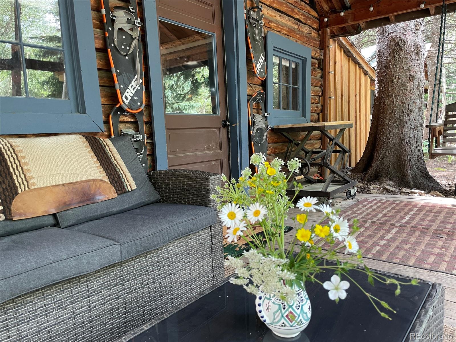MLS Image #38 for 1634  caribou road,nederland, Colorado
