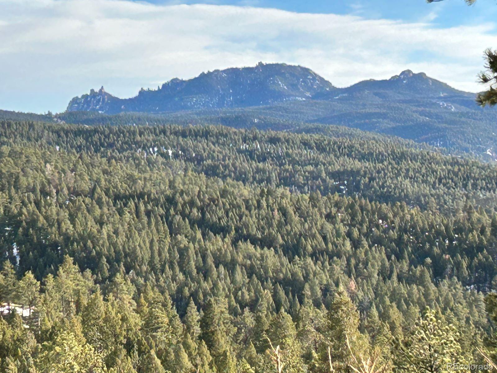 MLS Image #11 for 60 n county highway 67 ,sedalia, Colorado
