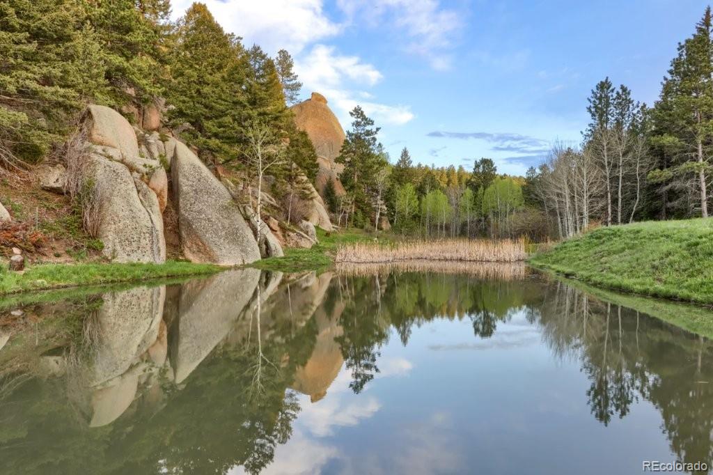 MLS Image #5 for 60 n county highway 67 ,sedalia, Colorado