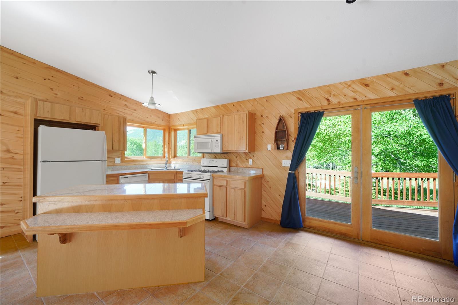 MLS Image #3 for 270  river run drive,antonito, Colorado