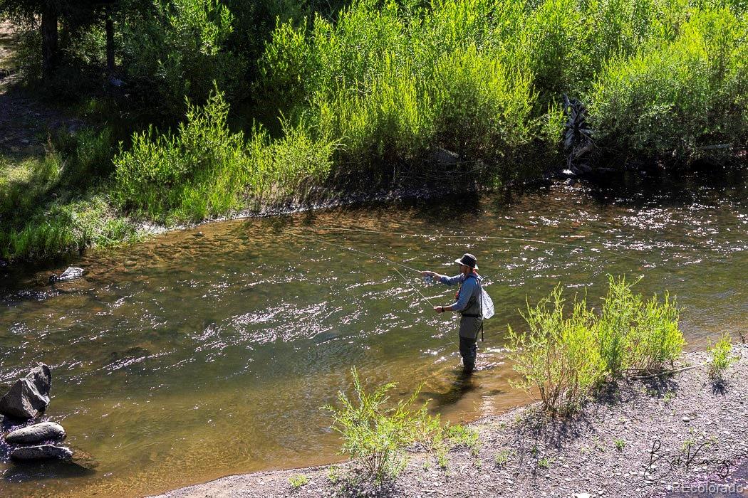 MLS Image #36 for 270  river run drive,antonito, Colorado