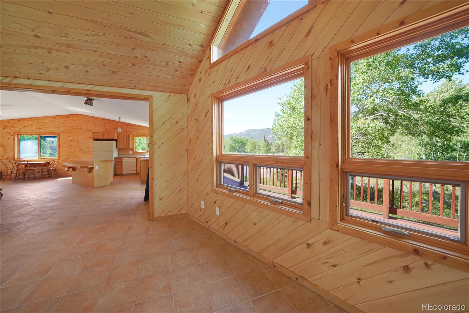 MLS Image #9 for 270  river run drive,antonito, Colorado