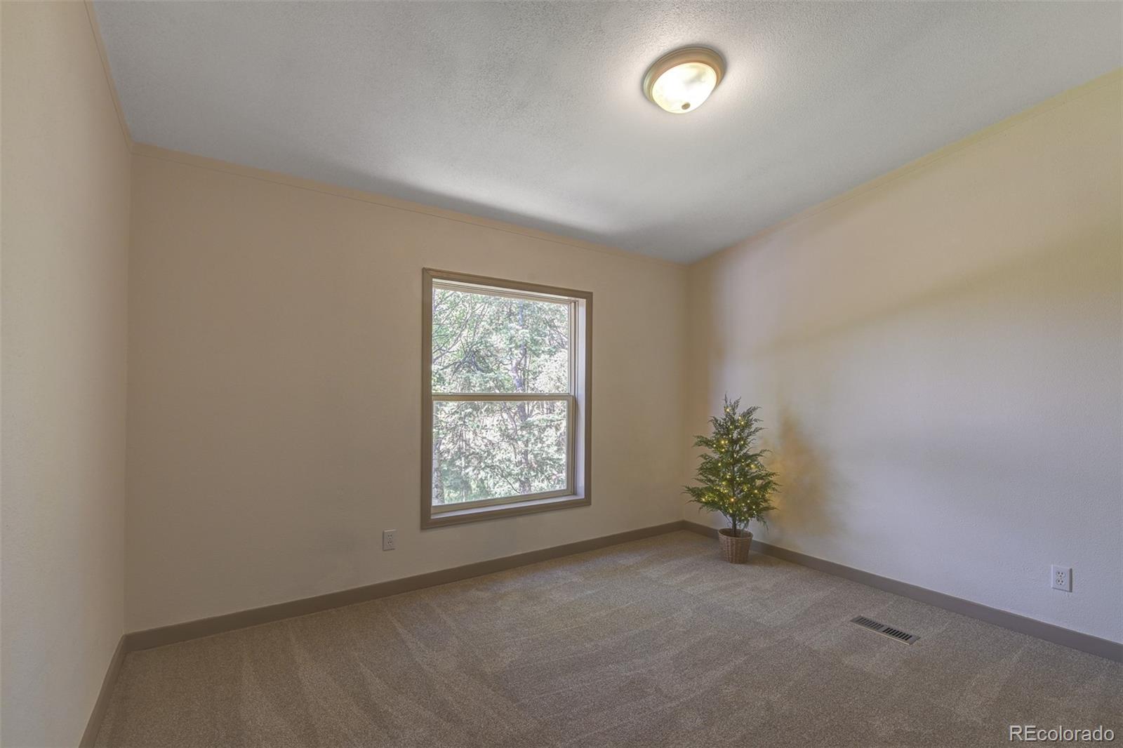 MLS Image #17 for 451  fern road,woodland park, Colorado