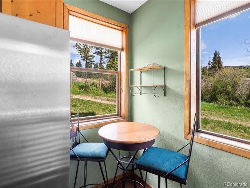 MLS Image #14 for 10000  ryan gulch road,silverthorne, Colorado