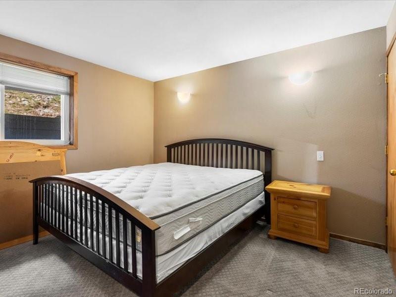 MLS Image #22 for 10000  ryan gulch road,silverthorne, Colorado