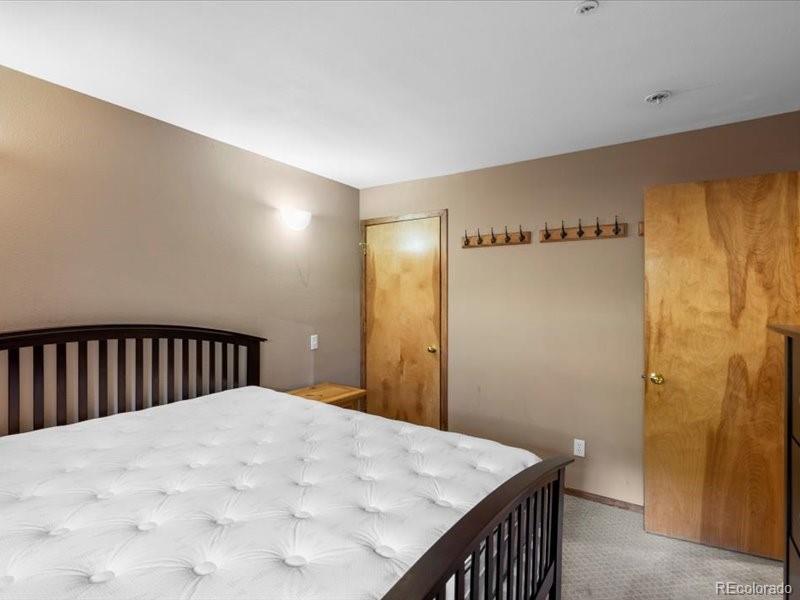 MLS Image #23 for 10000  ryan gulch road,silverthorne, Colorado