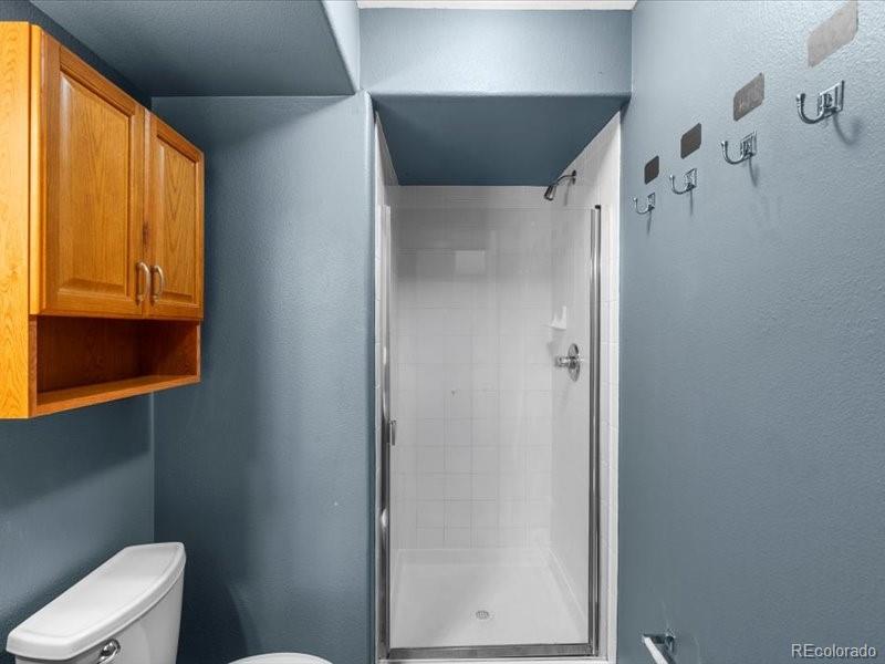 MLS Image #25 for 10000  ryan gulch road,silverthorne, Colorado