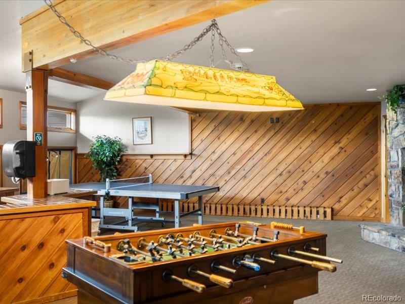 MLS Image #29 for 10000  ryan gulch road,silverthorne, Colorado