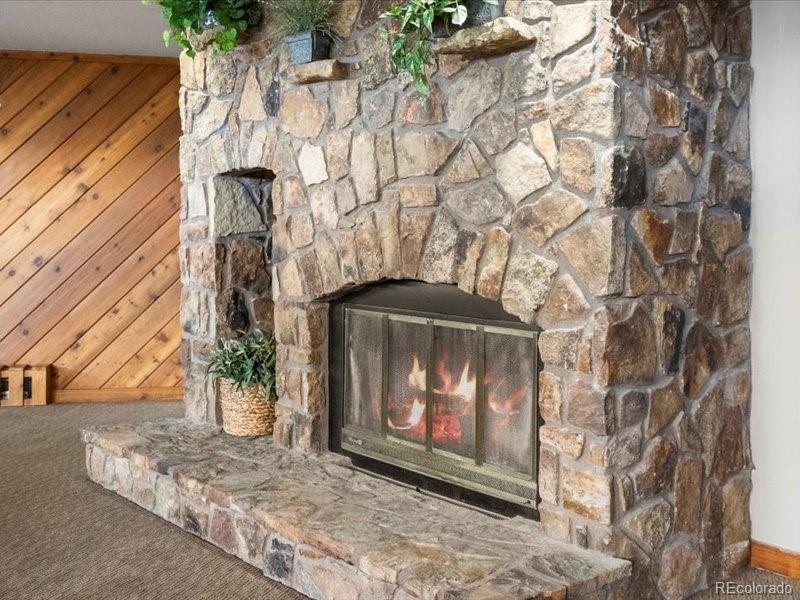 MLS Image #31 for 10000  ryan gulch road,silverthorne, Colorado
