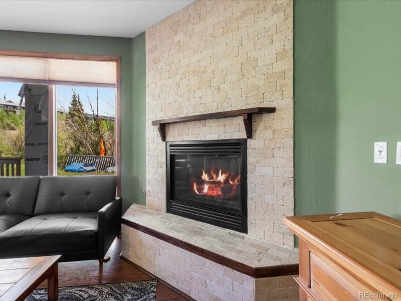 MLS Image #4 for 10000  ryan gulch road,silverthorne, Colorado