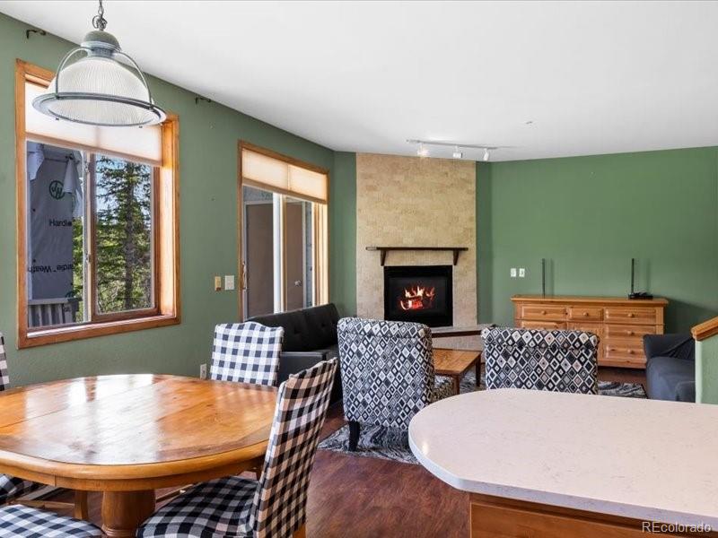MLS Image #7 for 10000  ryan gulch road,silverthorne, Colorado