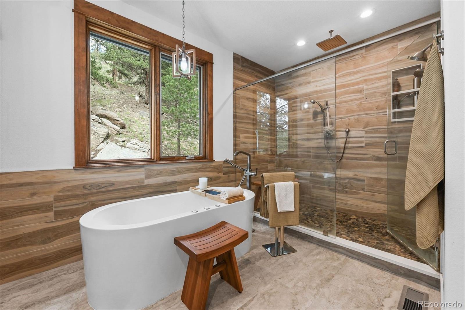 MLS Image #20 for 663  brookside drive,bailey, Colorado