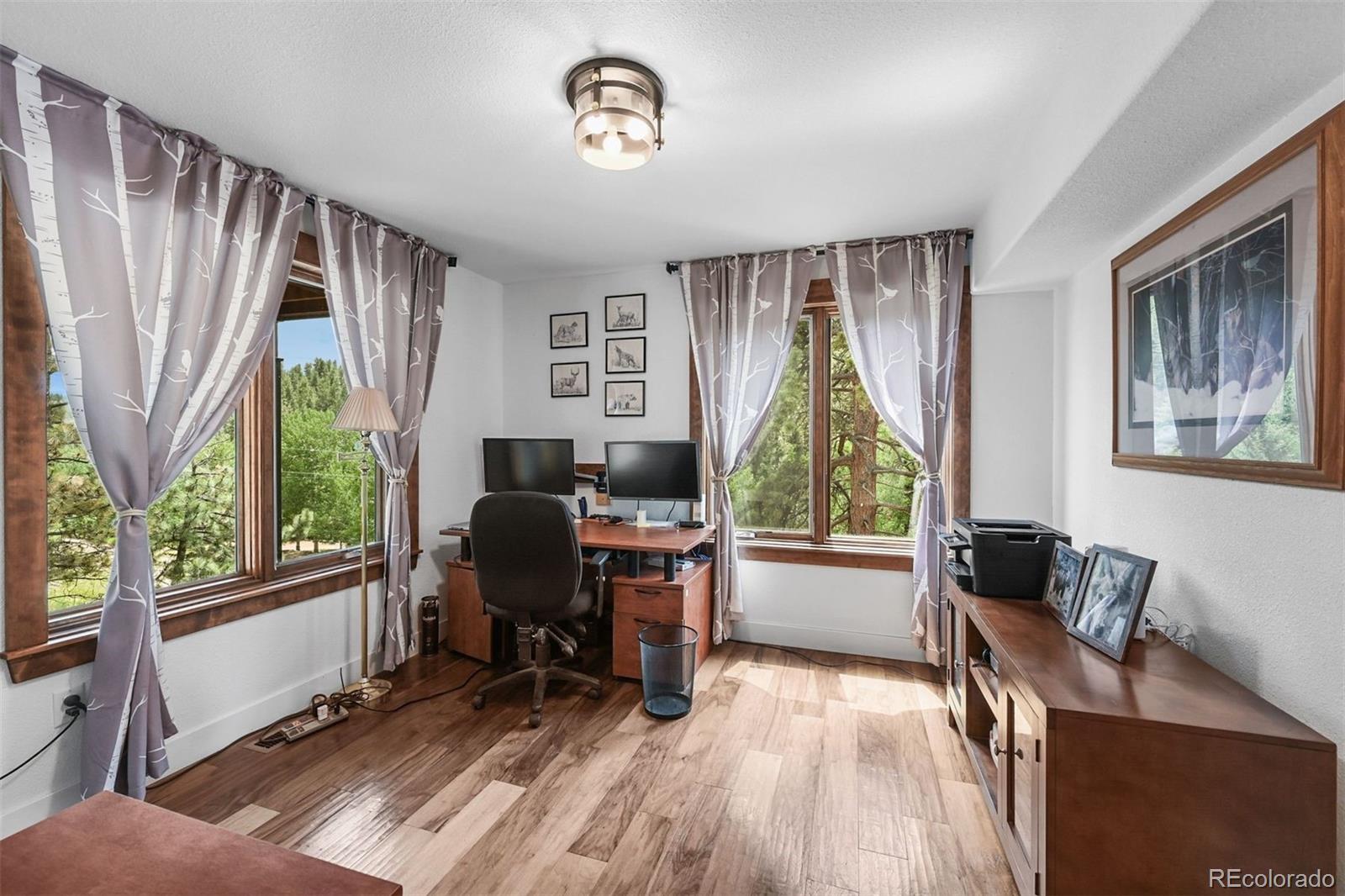 MLS Image #9 for 663  brookside drive,bailey, Colorado