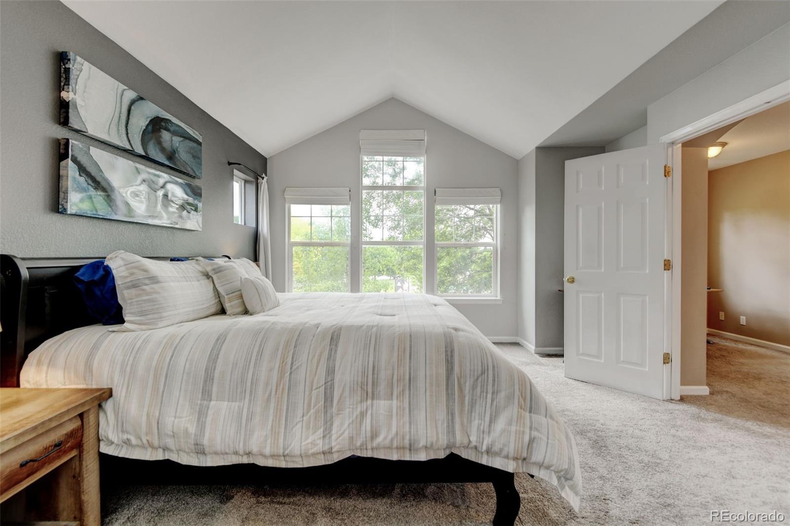 MLS Image #16 for 13025  umatilla court,denver, Colorado
