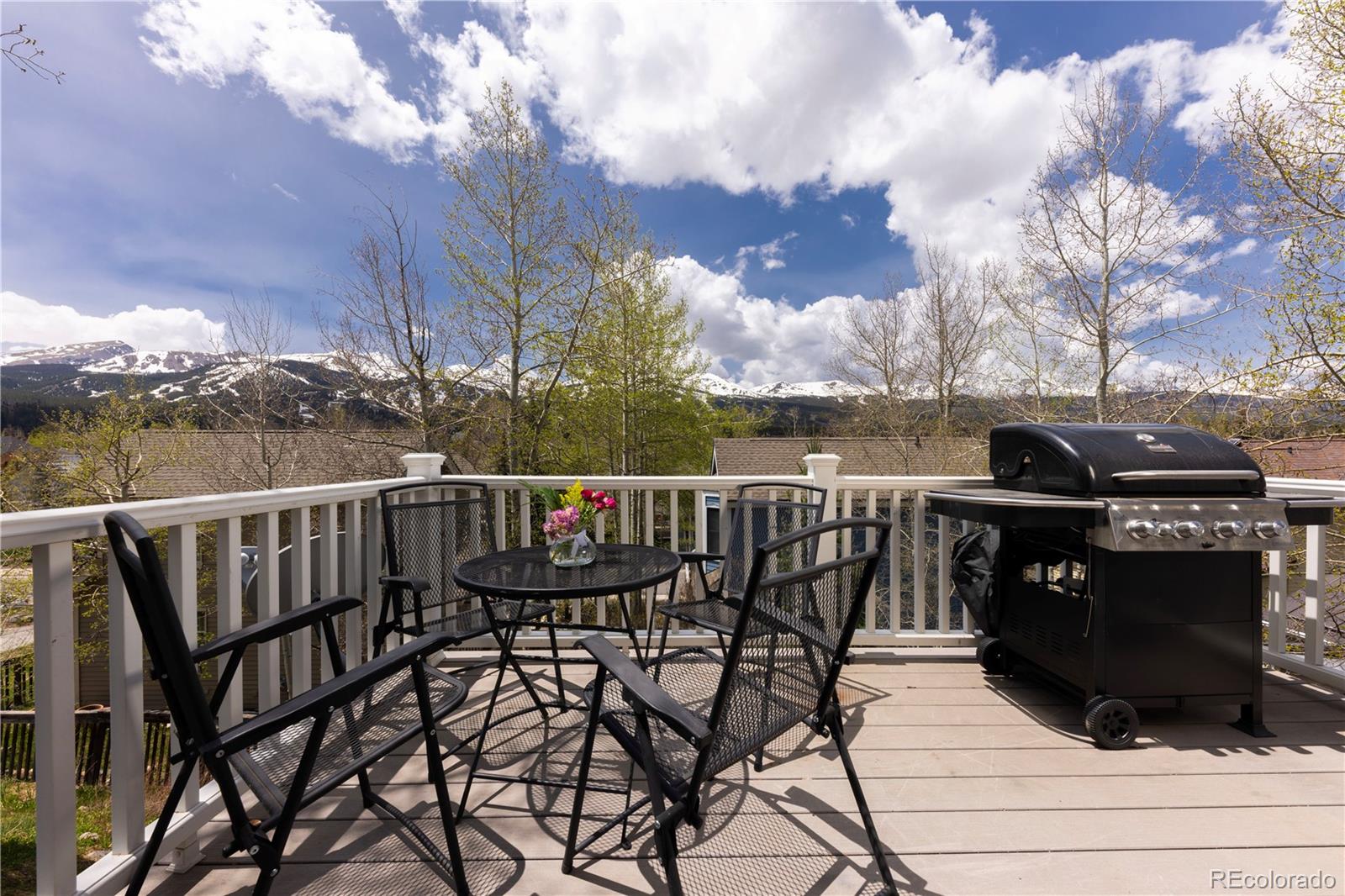 MLS Image #14 for 218  highland terrace,breckenridge, Colorado