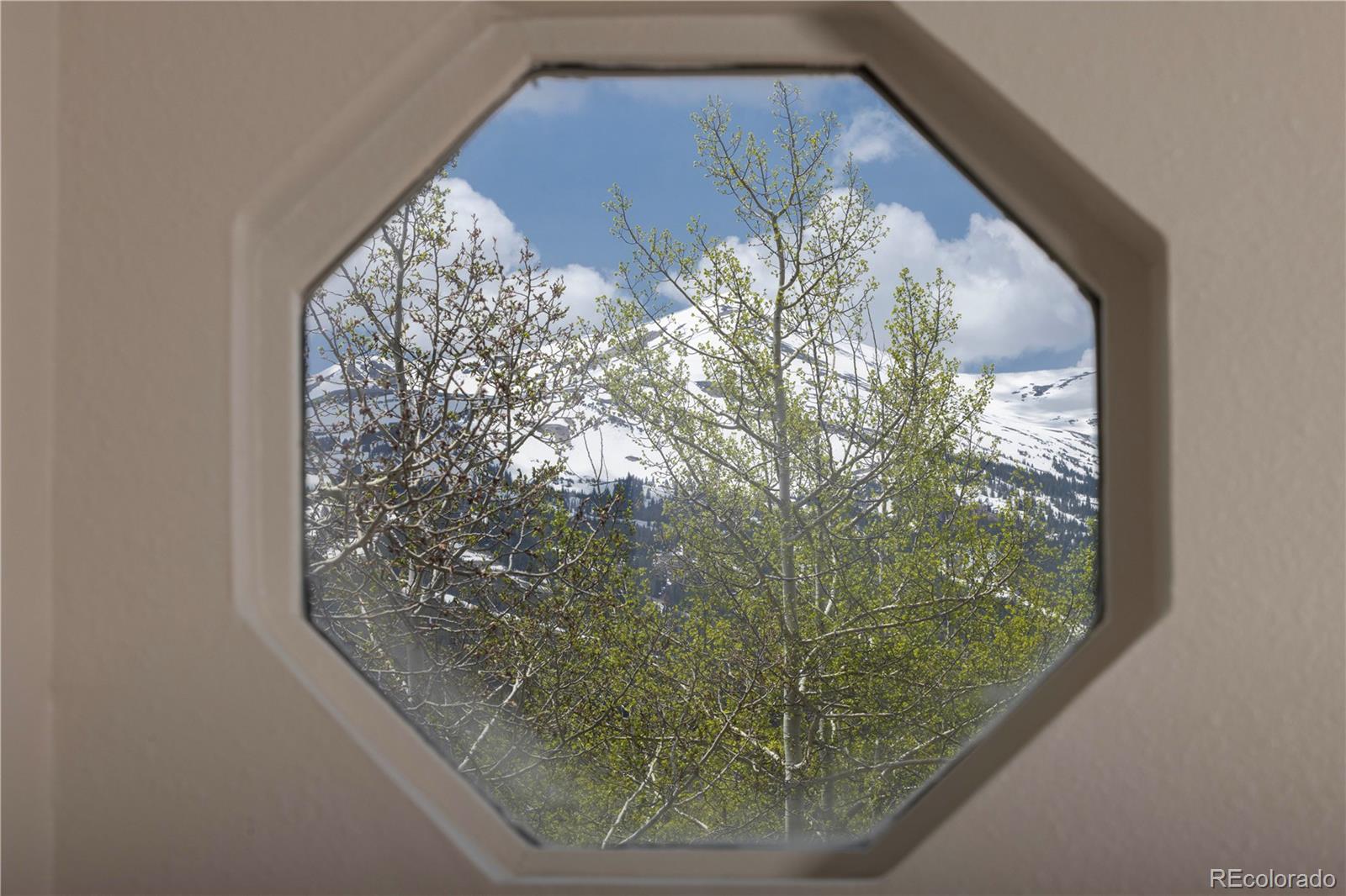 MLS Image #20 for 218  highland terrace,breckenridge, Colorado