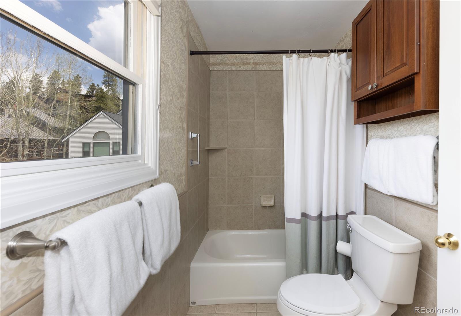 MLS Image #22 for 218  highland terrace,breckenridge, Colorado