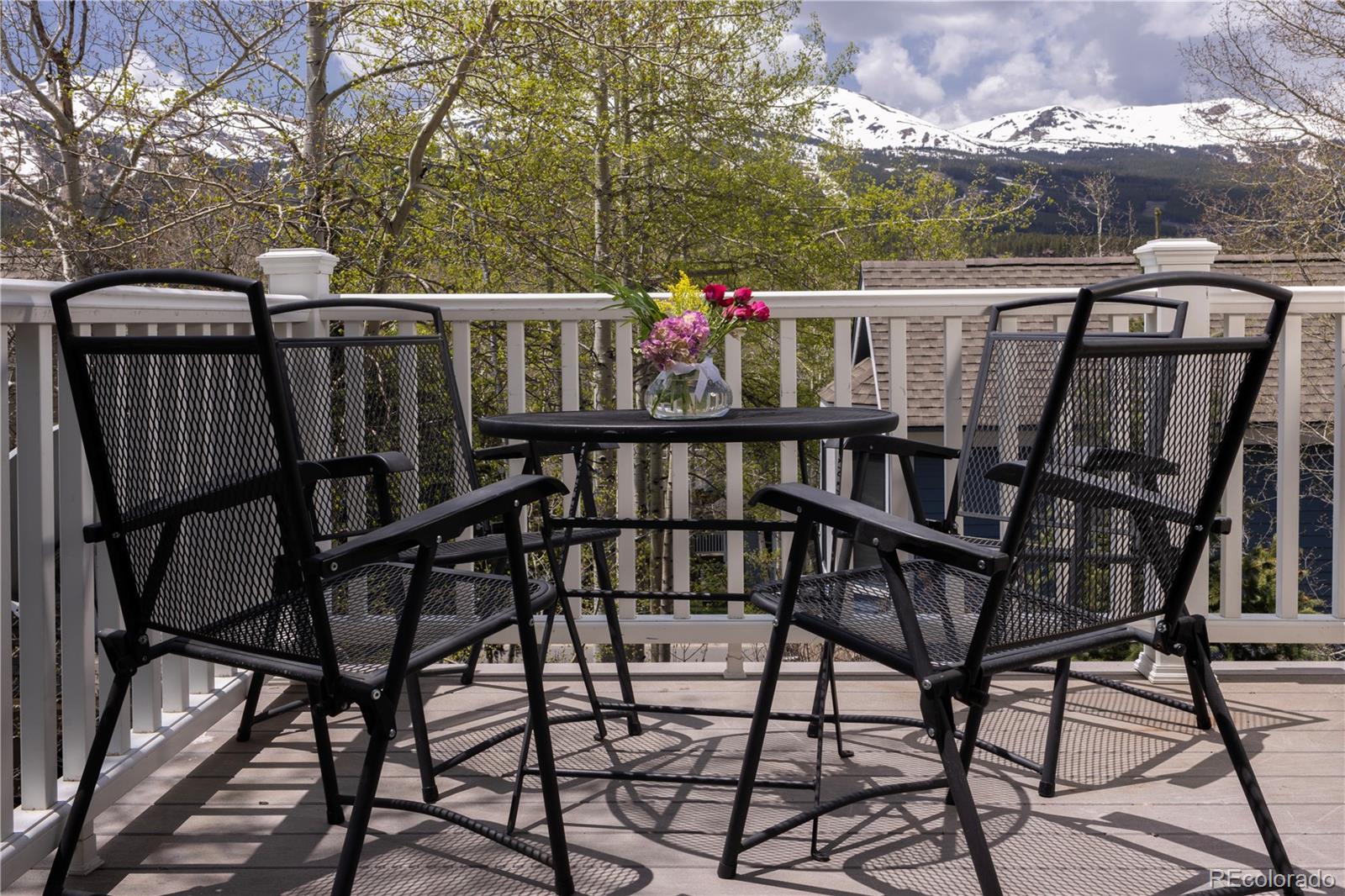 MLS Image #31 for 218  highland terrace,breckenridge, Colorado