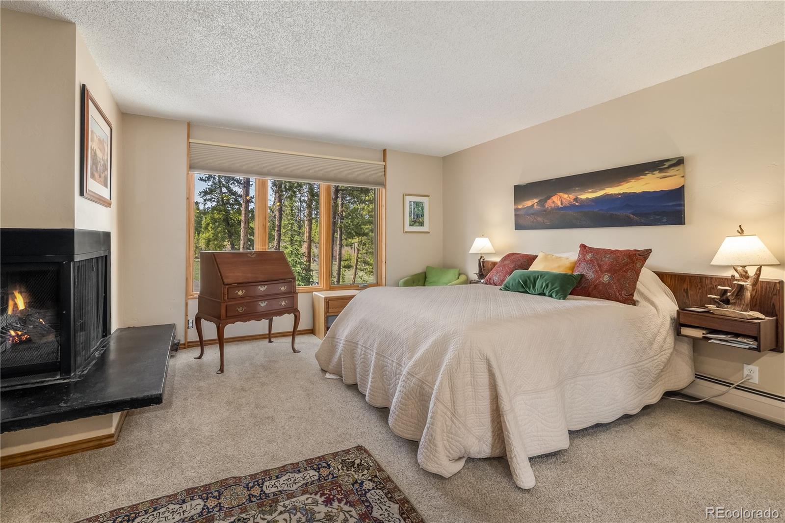 MLS Image #17 for 877  airport road,breckenridge, Colorado
