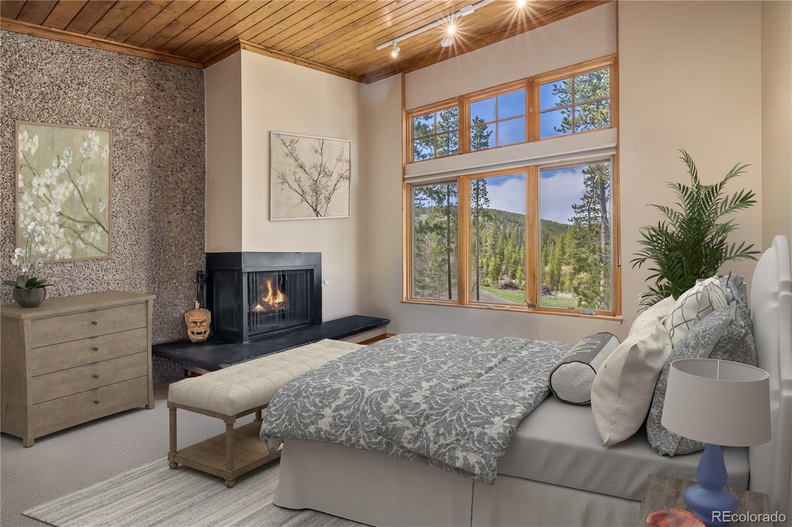 MLS Image #5 for 877  airport road,breckenridge, Colorado