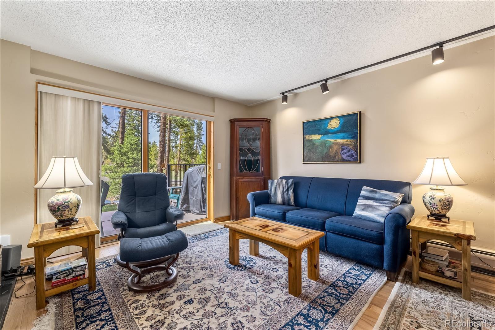 MLS Image #9 for 877  airport road,breckenridge, Colorado