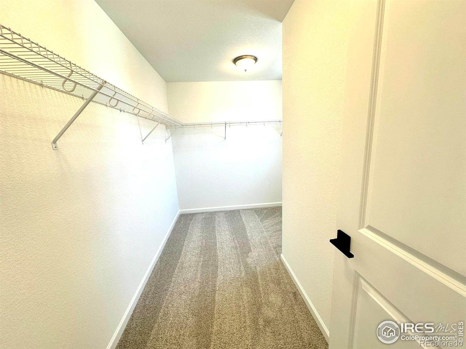 MLS Image #19 for 746  may apple lane,fort collins, Colorado