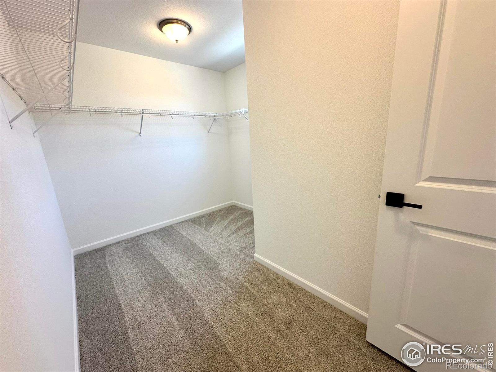 MLS Image #20 for 746  may apple lane,fort collins, Colorado